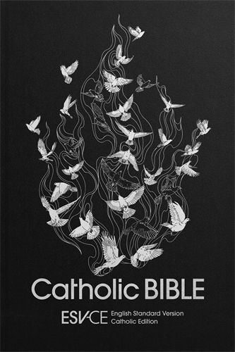 Bible ESV-CE Catholic Bible Anglicized Standard Hardback