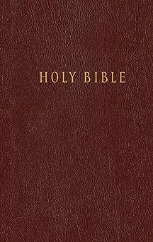 Bible NLT Burgundy HB