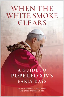 When the White Smoke Clears: A Guide to Pope Leo XIV's Early Days
