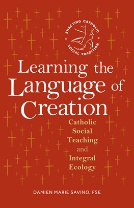 Learning the Language of Creation Cath. Soc. Teaching Creation