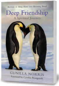 Deep Friendship A Spiritual Journey