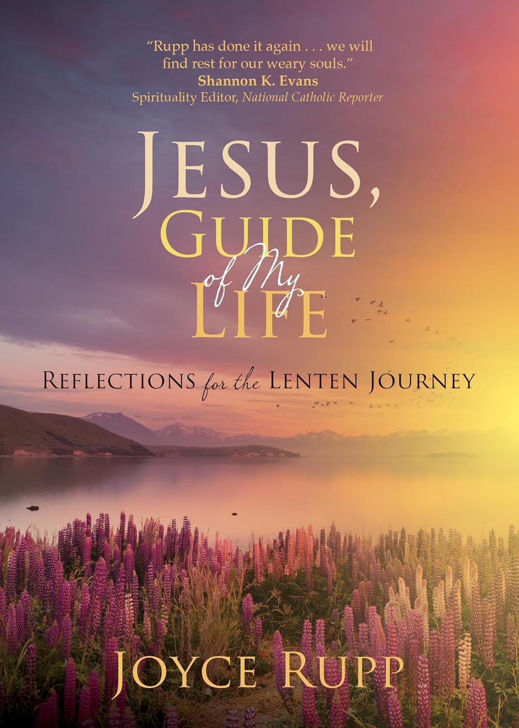 Jesus Guide Of My Life