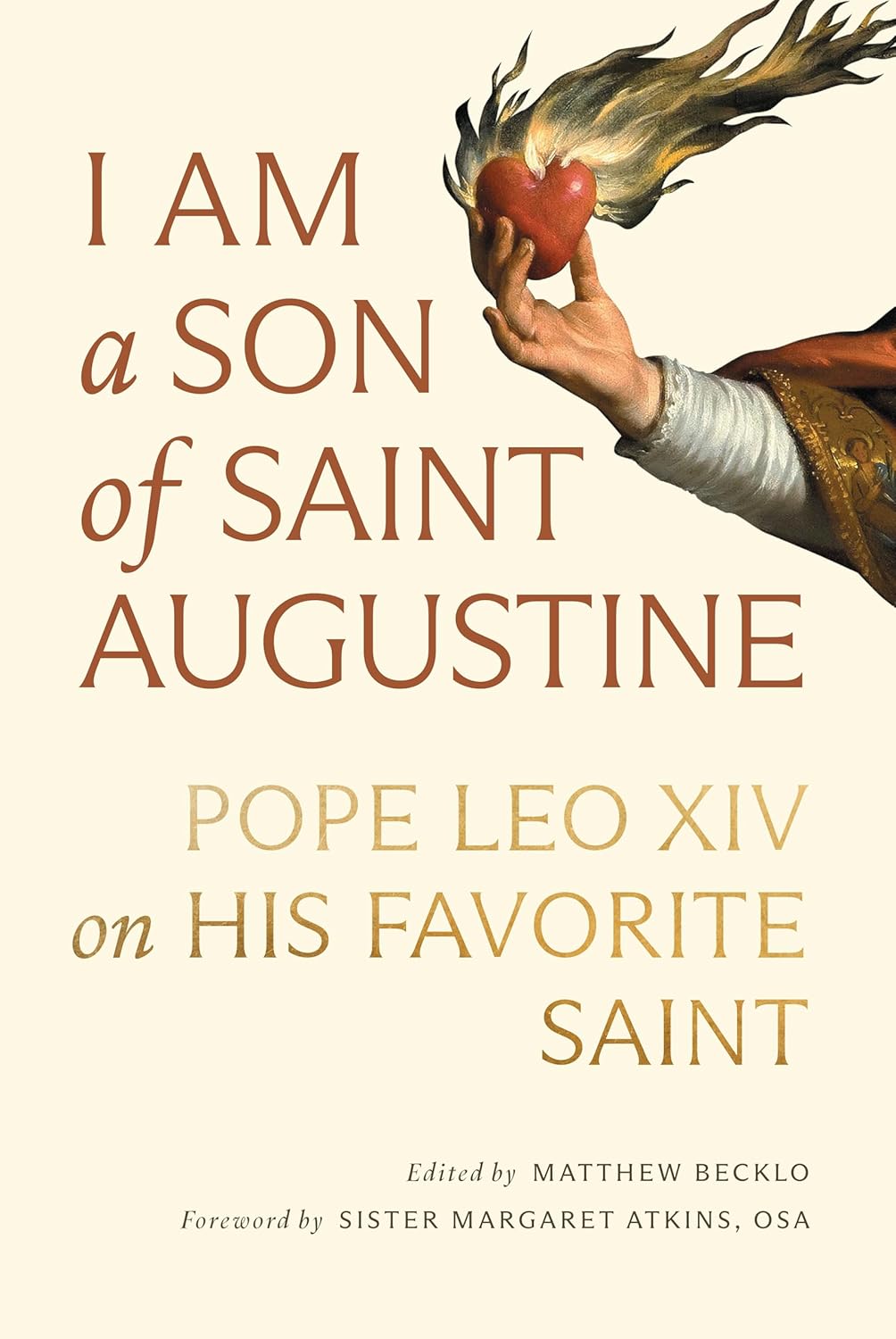I Am A Son Of St Augustine Pope Leo XIV
