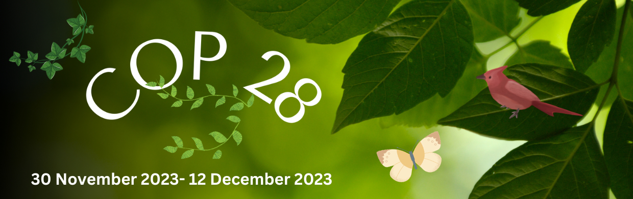 Cop 28