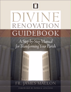 Divine Renovation Guidebook: A Step-by-step Manual for Transforming Your Parish