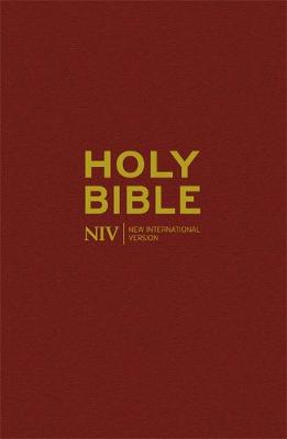 Bible NIV Popular Edition