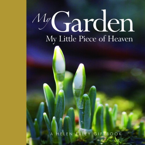 My Garden: My Little Piece of Heaven