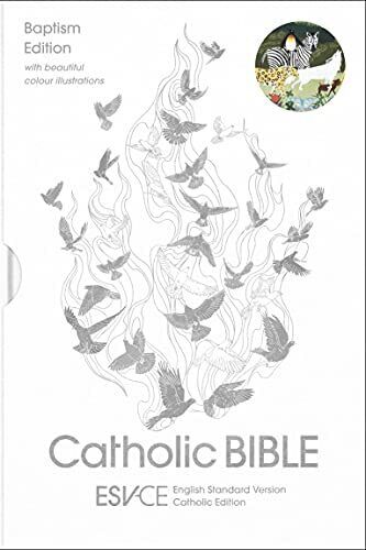 ESV-CE Catholic Bible, Anglicized Baptism Edition with beautiful colour illustrations with slipcase