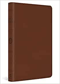 Bible ESV Large Print Thinline