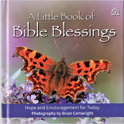 Little Book of Bible Blessings