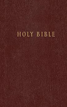 Bible NLT Burgundy HB