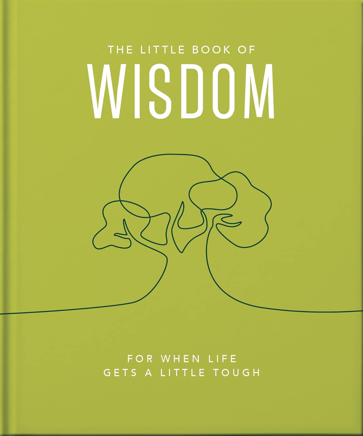 The Little Book of Wisdom: For when life gets a little tough