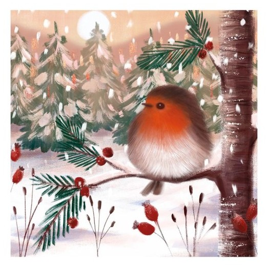 Card Christmas CFEX209 Fluffy Robin Pk 8