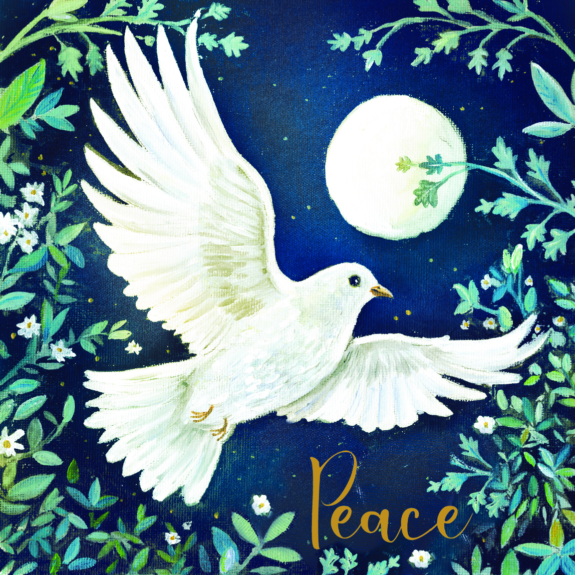Card Christmas TF238 PD25059 Moonlit Dove 10 Pack