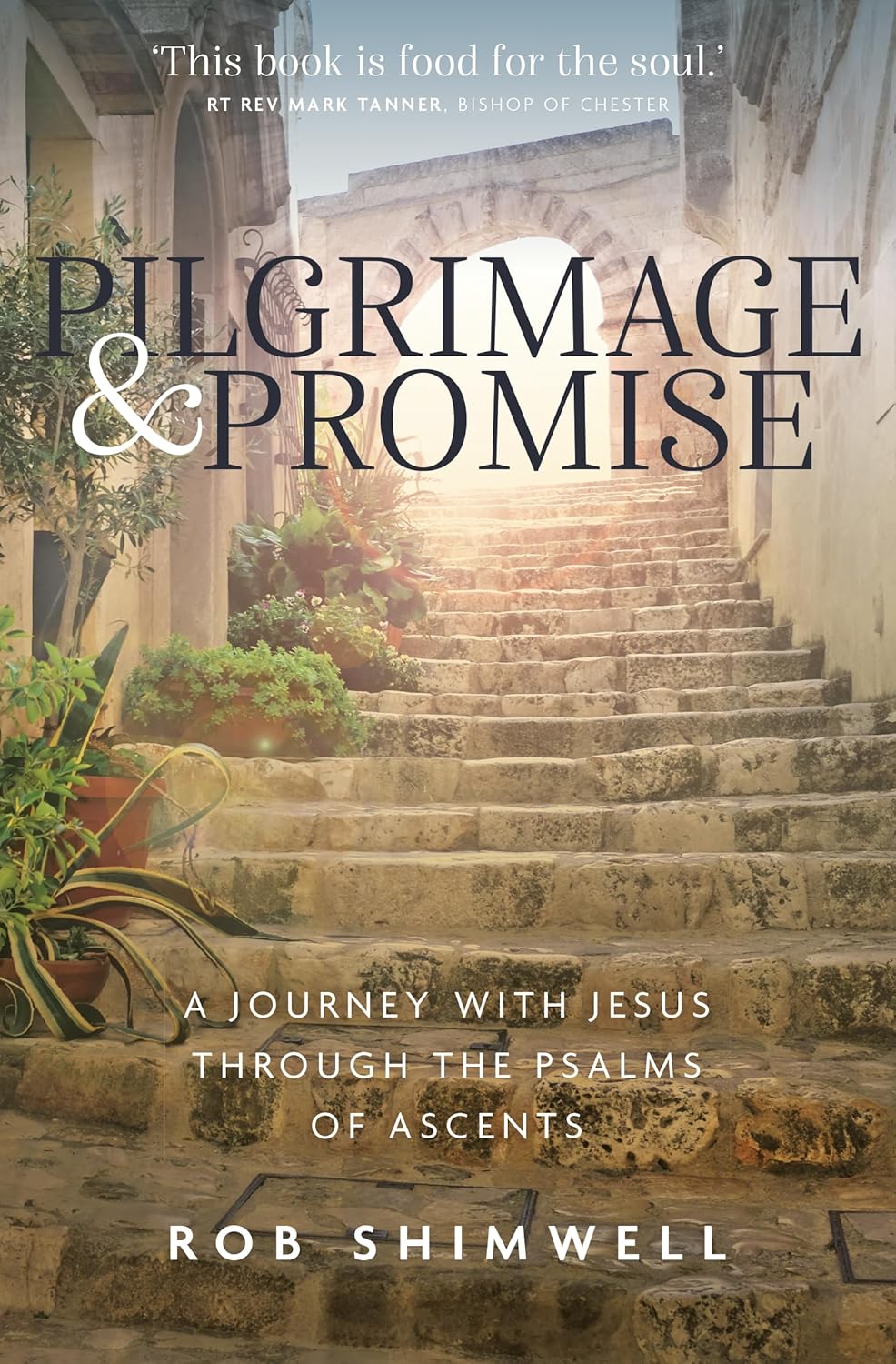 Pilgrimage and Promise: A Journey with Jesus Through the Psalms of Ascents